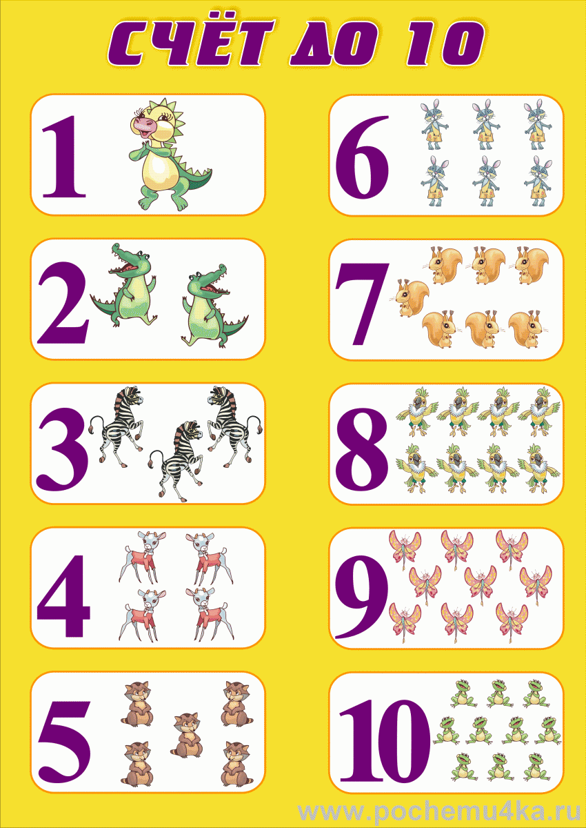 Счет от 1 до 10. Плакат счет от 1 до 10. Карточки для обучения счету. Карточки с цифрами для детей. Счет 1 сайт